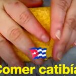 comer catibía