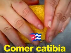 comer catibía